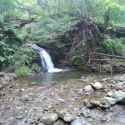 渓流ミノーイング ～長良川水系～